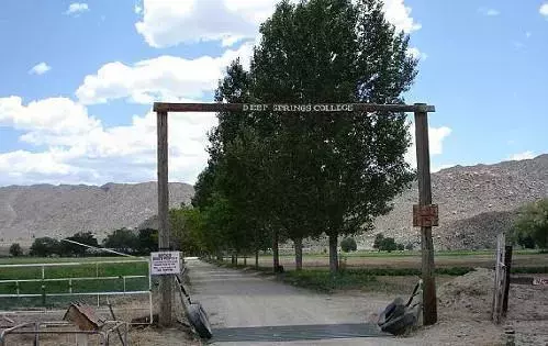 魔法学校？死亡体验？教你变成美人鱼？这都什么奇奇怪怪的学校