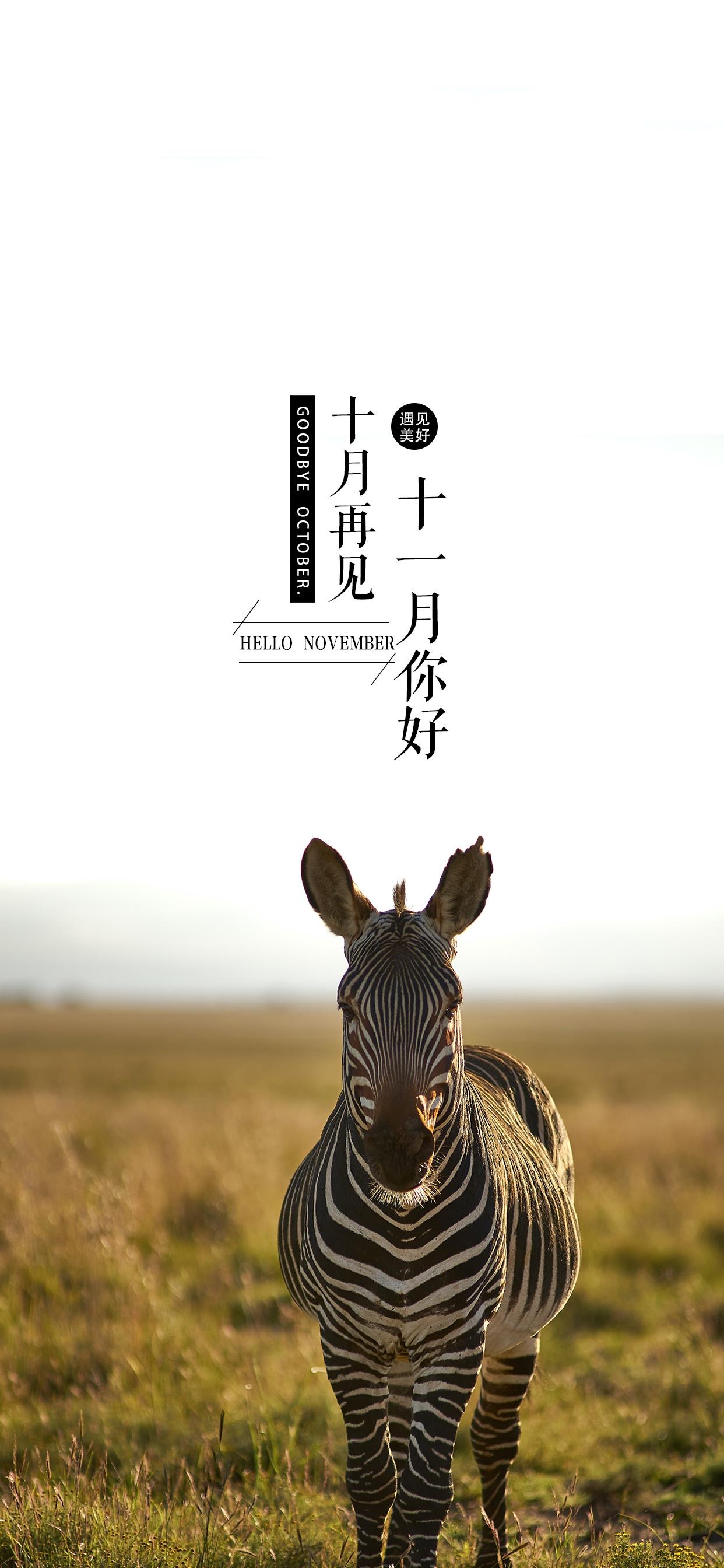 壁纸 </p><p> <p align=