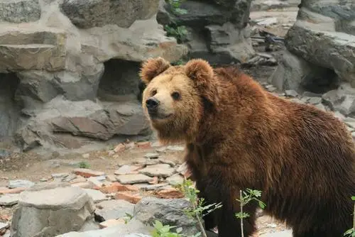 沈阳周边30个更佳自驾好去处