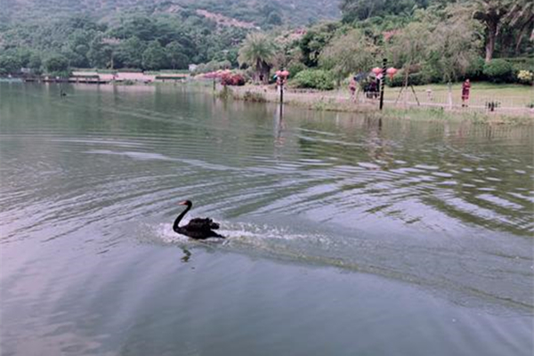霜落荆门江树空(李白)