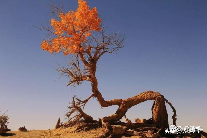学者们的江湖门派和地图