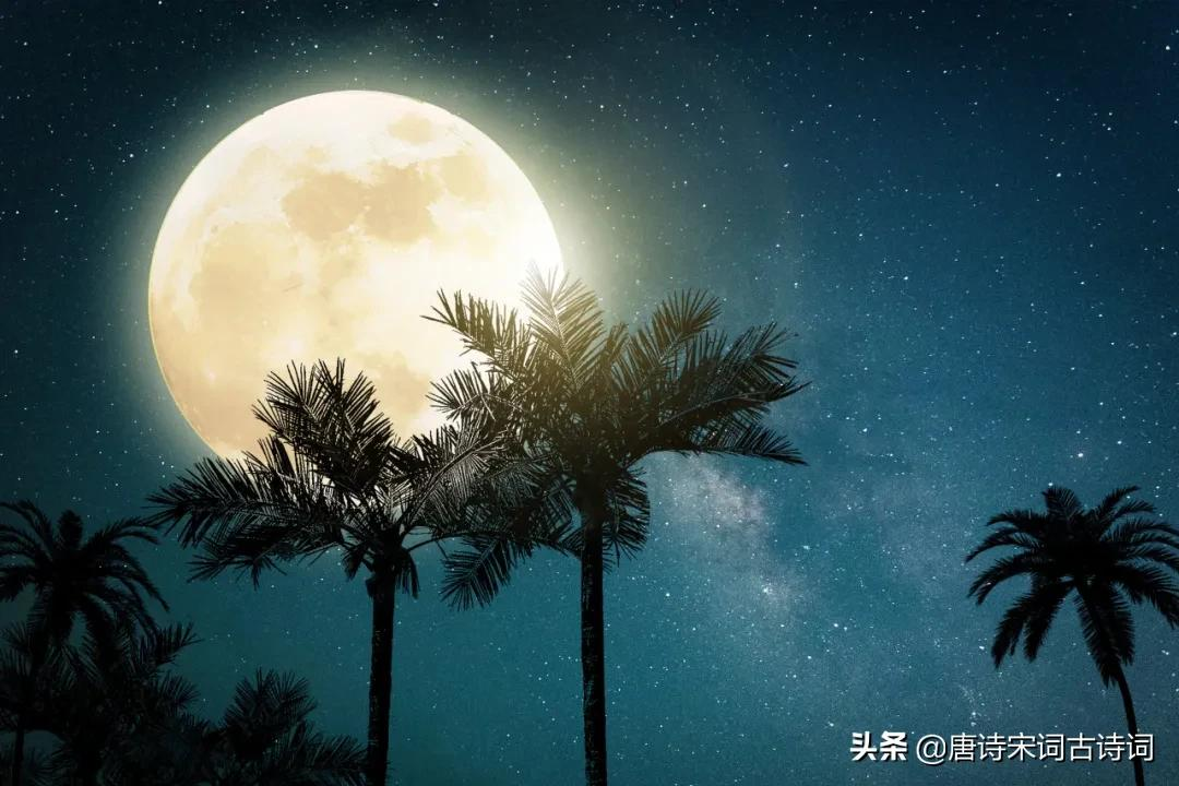 秋天，不容错过的月光