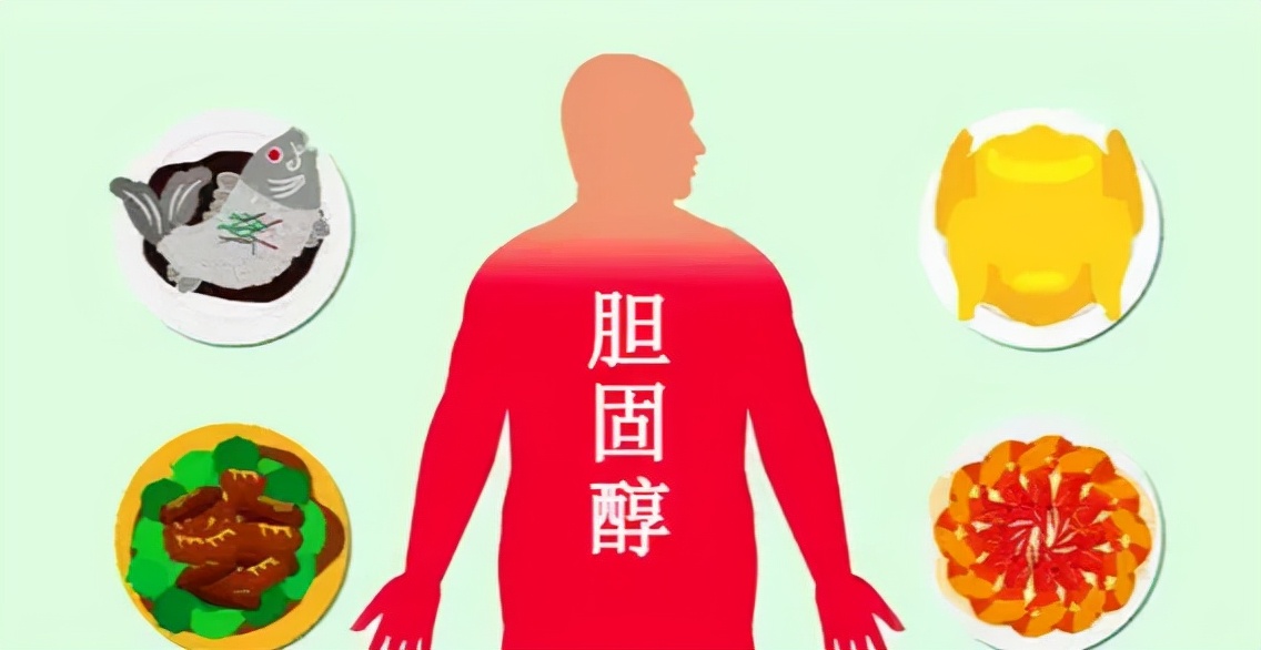 高胆固醇食物排行榜及科学饮食建议