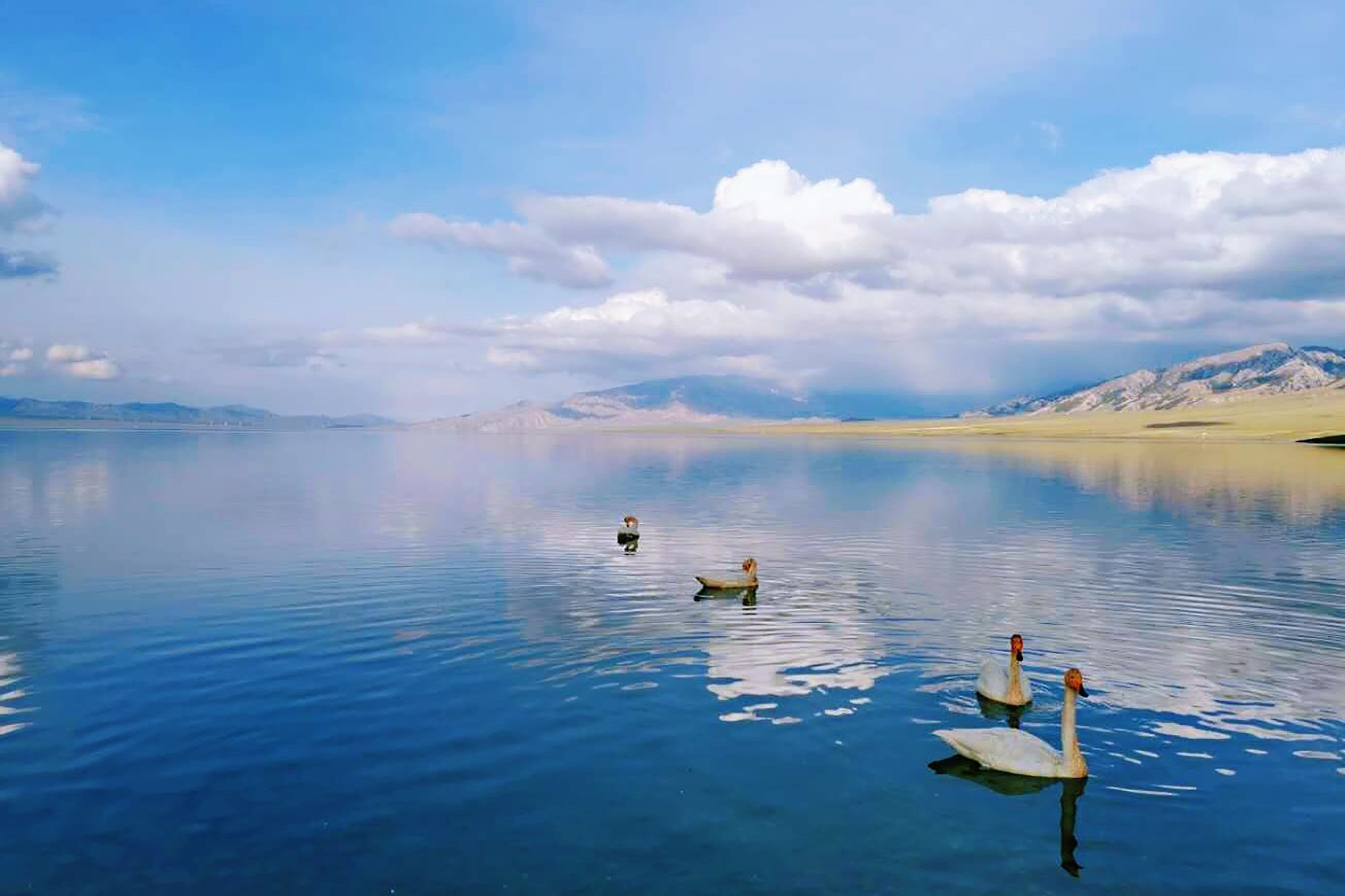 国内这10个小众景点,适合带着爸妈去旅行,你去过几个?