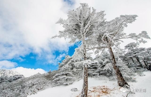 风花雪月什么意思（大理风花雪月四景）