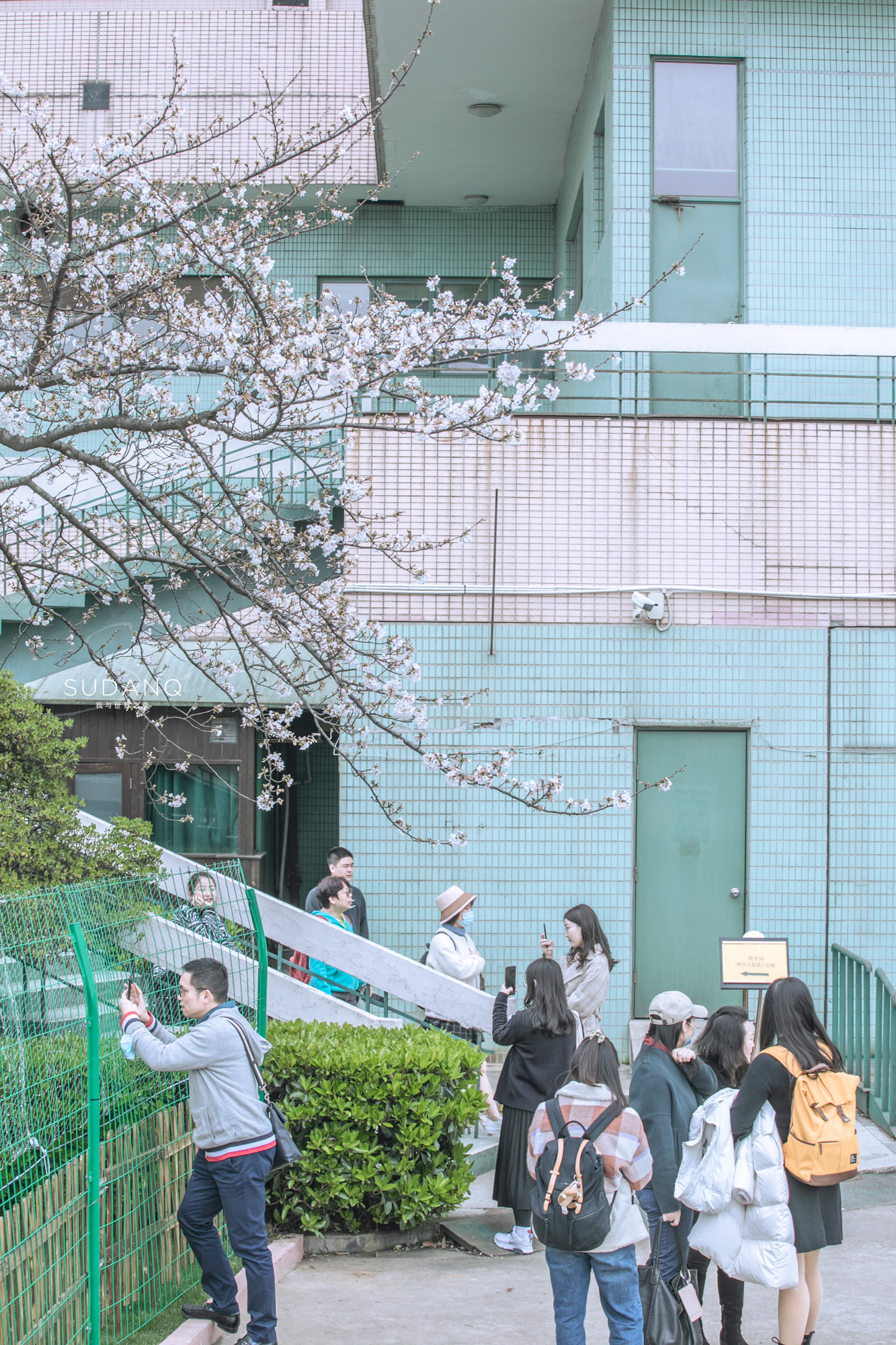 樱花配古建，晴川阁比黄鹤楼更唯美！武汉樱花之旅千万别错过这里