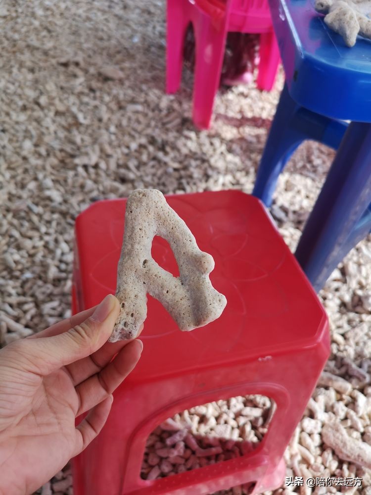 西沙~南海中的一片莲