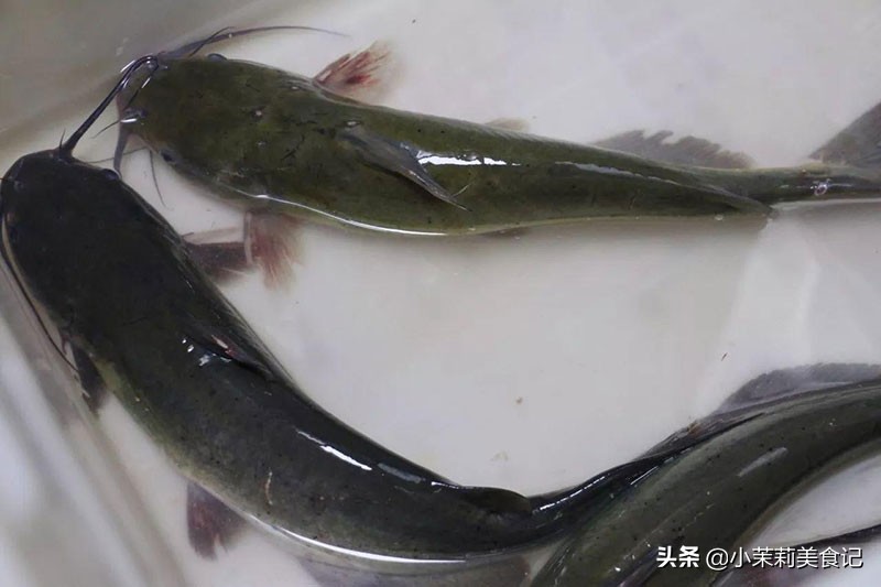 清江鱼有刺吗（这6种鱼肉嫩刺少味道好营养高遇到别手软）