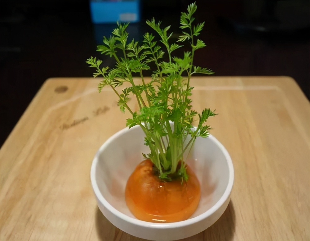 哪些蔬菜发芽后能吃，哪些不能吃？或许很多人浪费了