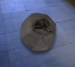 《九阳神功》全本，拿去！