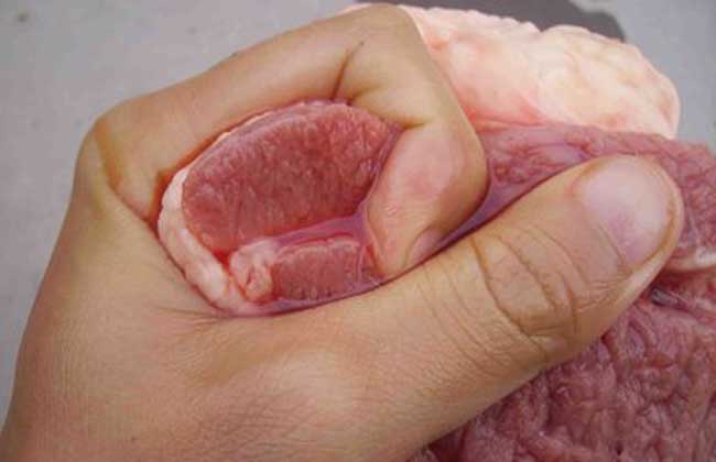 买猪肉，你能知道“浅色”和“深色”的区别吗？看懂以后别再买错