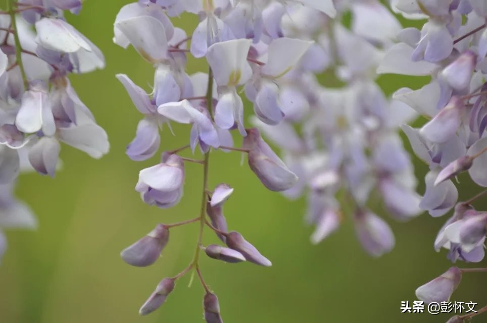 暂估收入会计分录（会计实务）