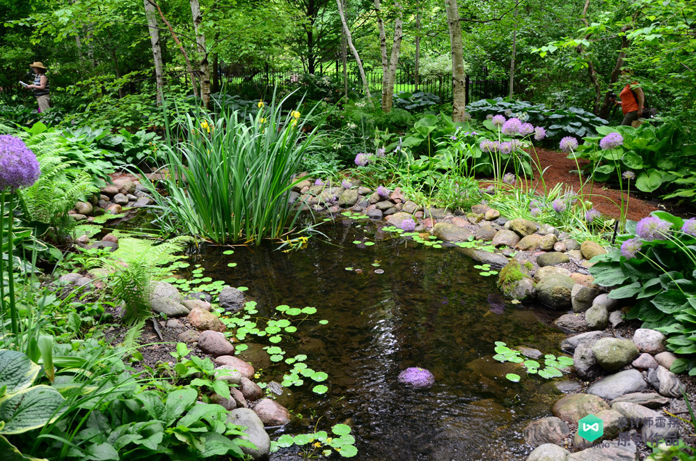 庭院鱼池都有哪些样式庭院鱼池样式图