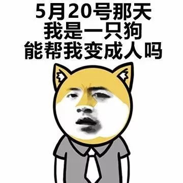 天不老情难绝的作者(绝对看不懂的表白)