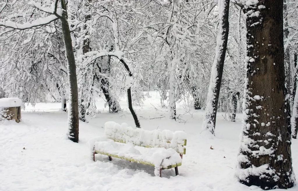 大雪诗词 | 带你走进唐诗宋词里的最美雪景！