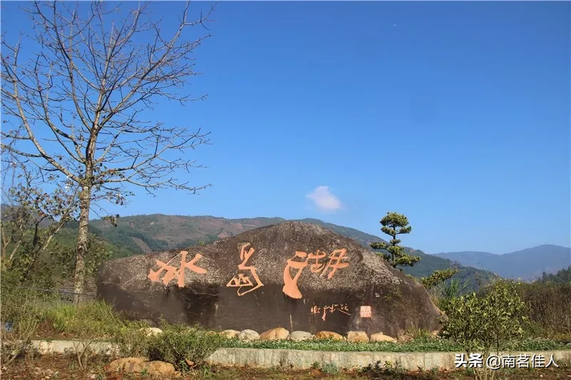 普洱茶界的高价神话，十多公斤冰岛茶相当于一套房子的首付？