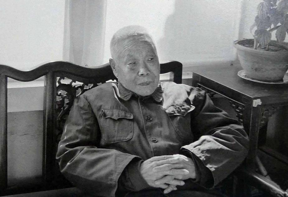 怎樣殺雞,怎樣殺雞又快又好
