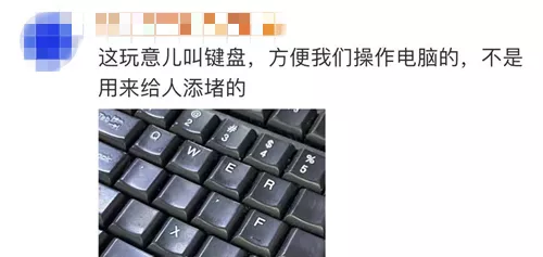 日本主播把养了100天的宠物猪烤着吃了,结果不到10天猪又复活了