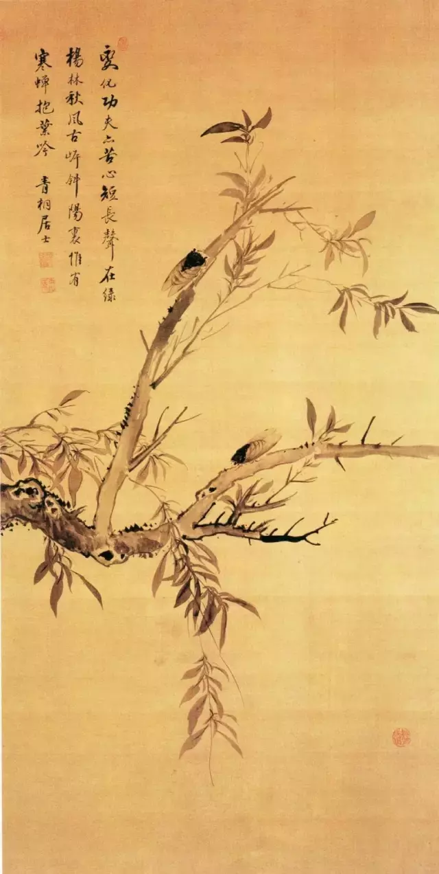 一朵牡丹价值超过100万,魅力何在?