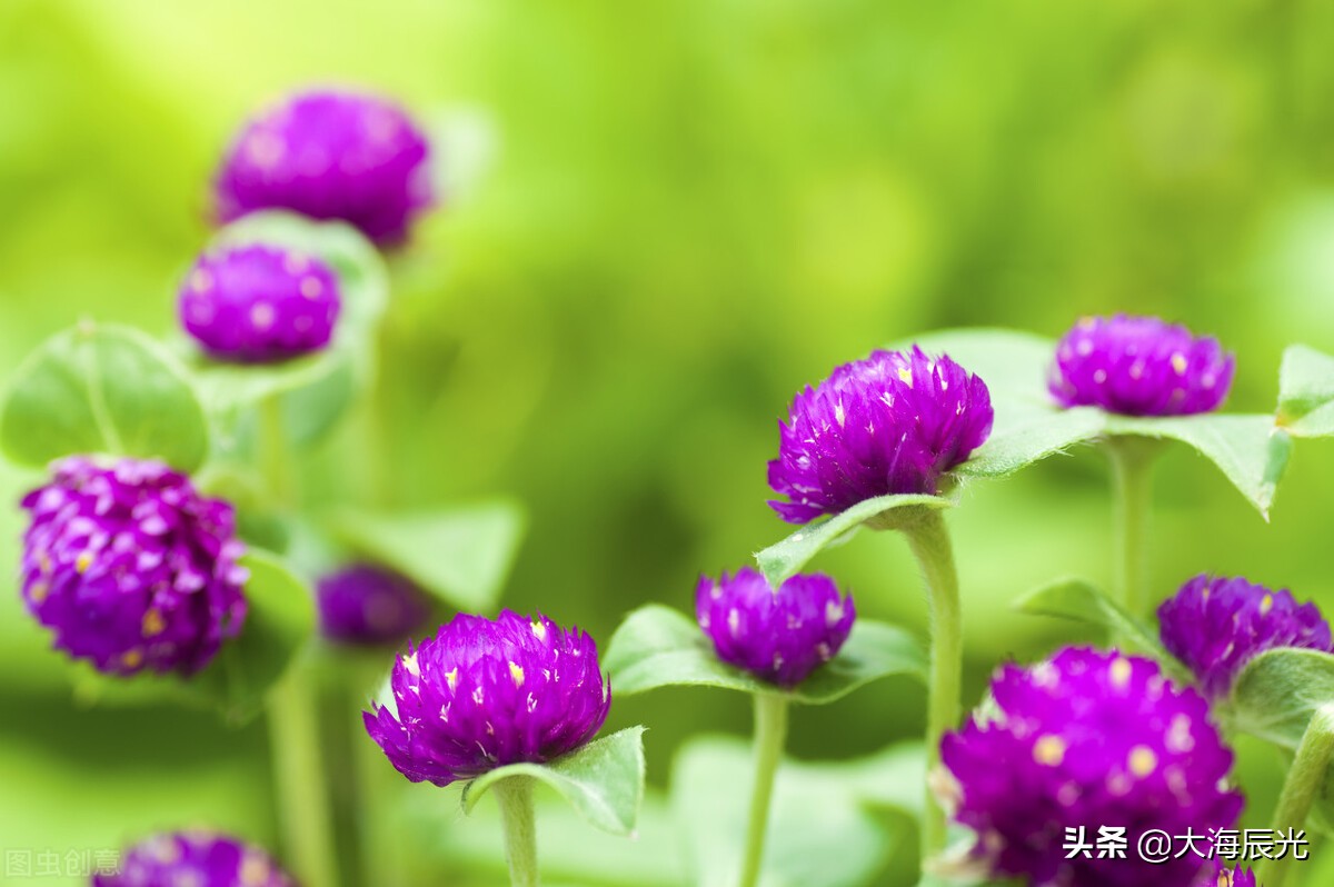 阴雨连绵天乍晴，心情悠然时光新