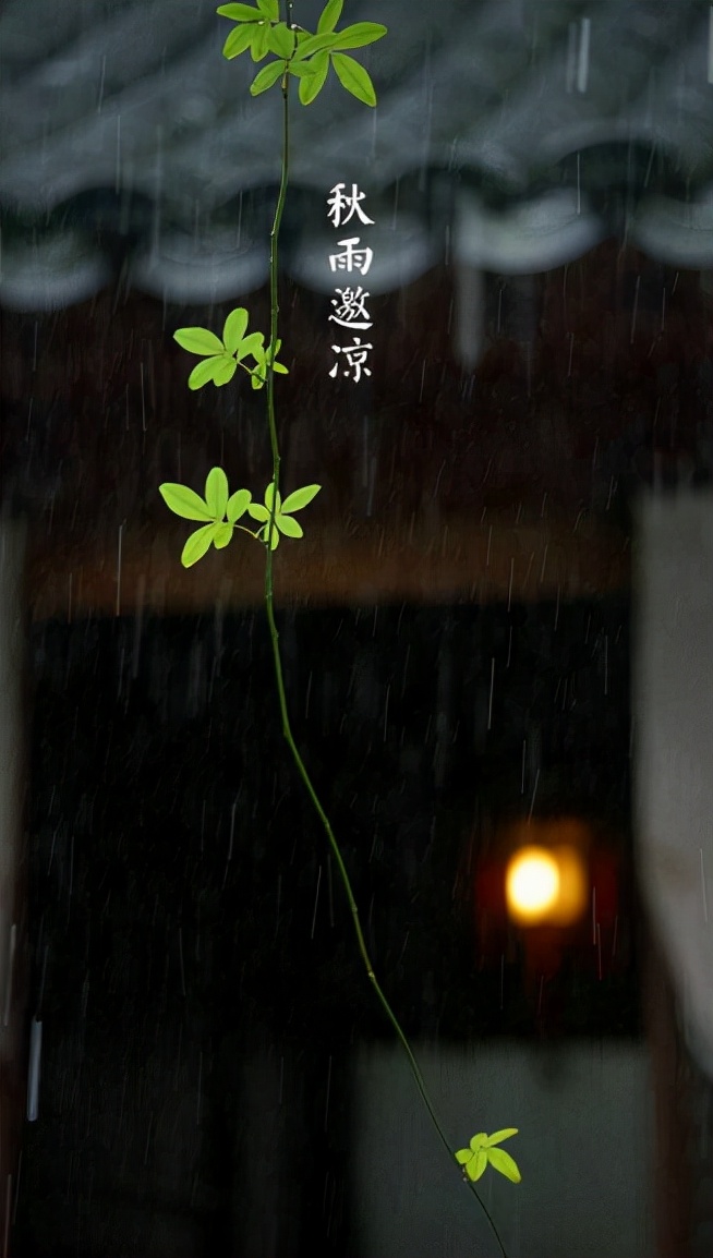偏爱清秋夜雨时，十首秋雨的诗词，品味古诗词里的浪漫秋雨