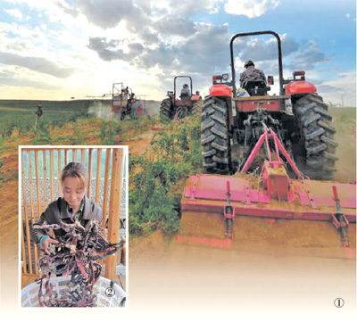 科技赋能，金融服务拓展新空间（财经眼·金融创新助力乡村振兴①）