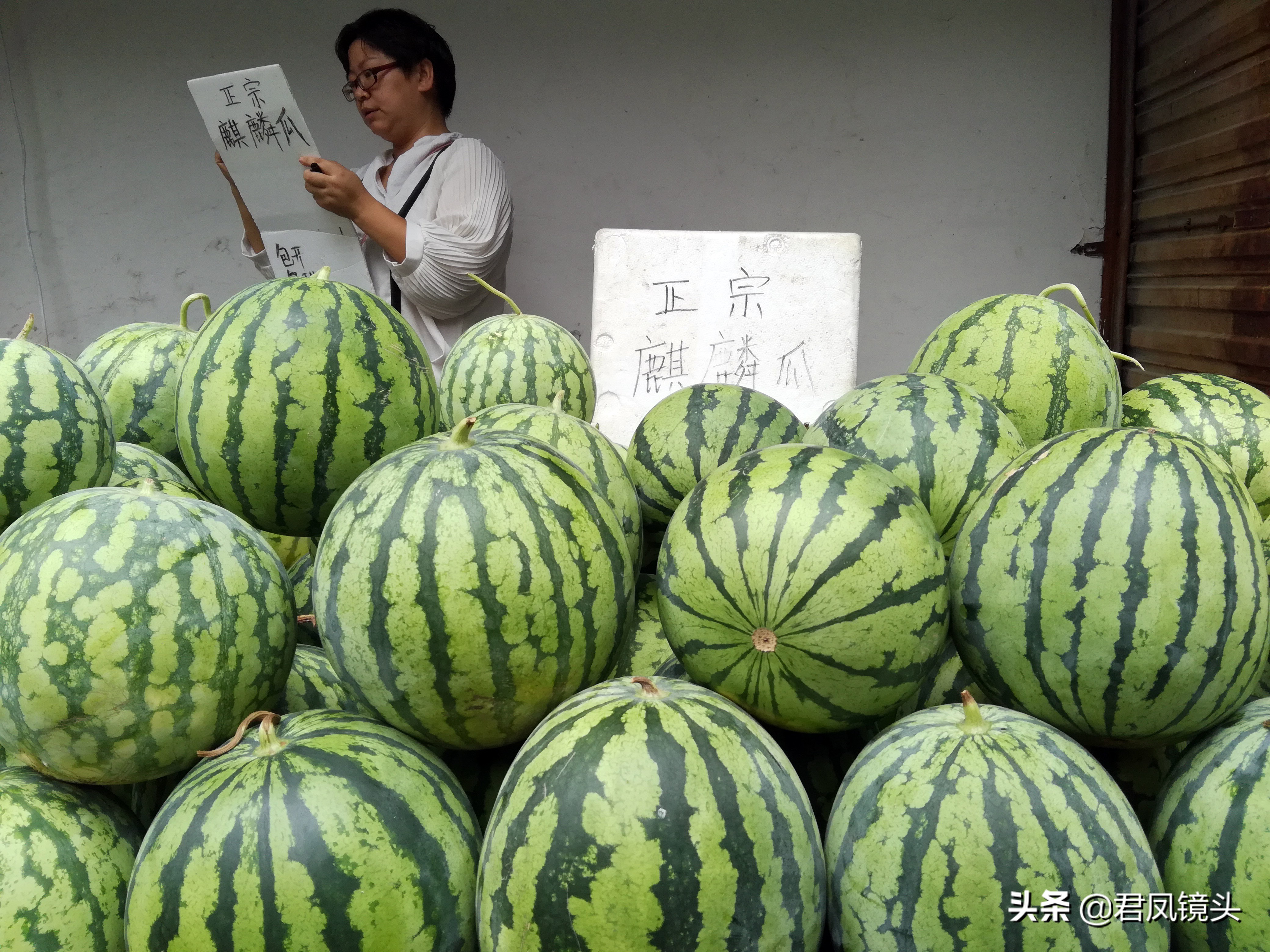 湖北西瓜价格今日行情（今日麒麟西瓜价格）