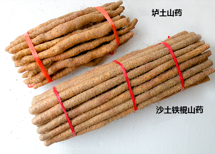 图片[5]-买山药 怎样区分“菜山药”和铁棍山药 5招教你辨别 别再买错了-起舞食谱网