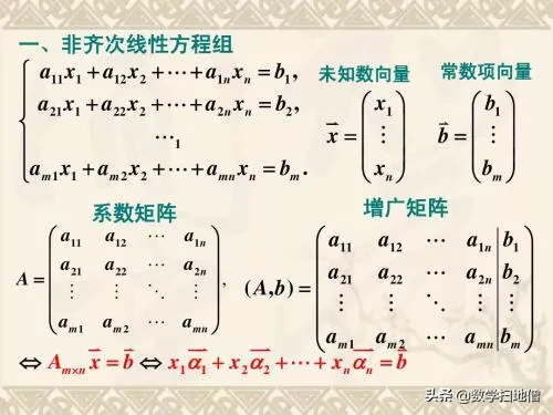 浅析数学中的行列式与矩阵
