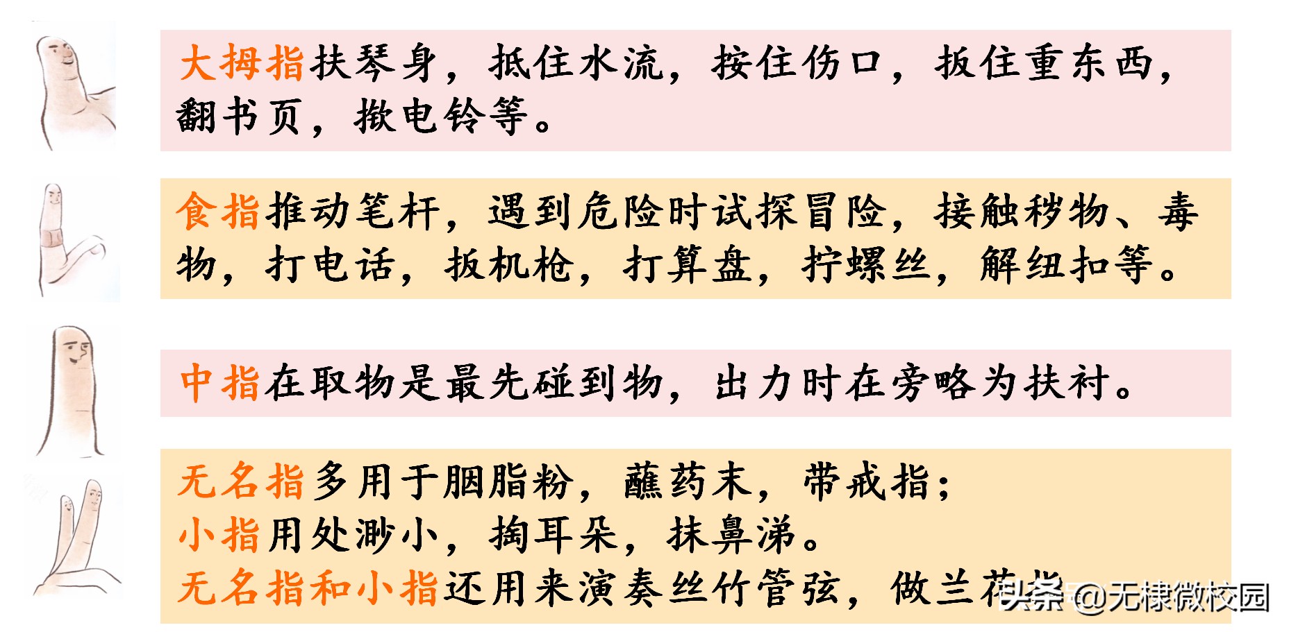 五年级语文下册22《手指》课文讲解、拓展延伸、巩固练习都全了