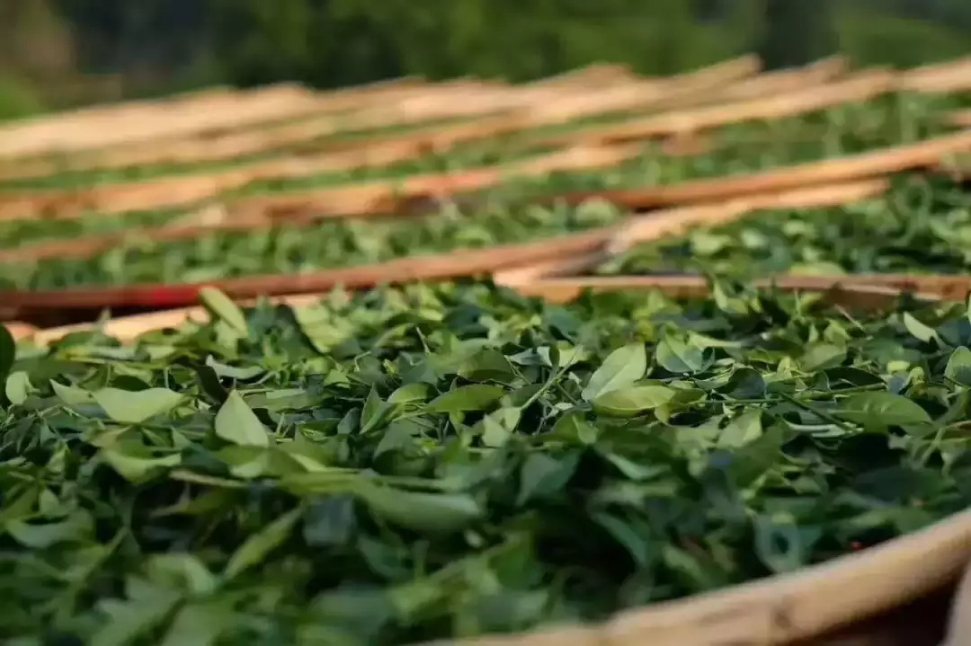 香山居士酷爱茶，始于酒，终于茶