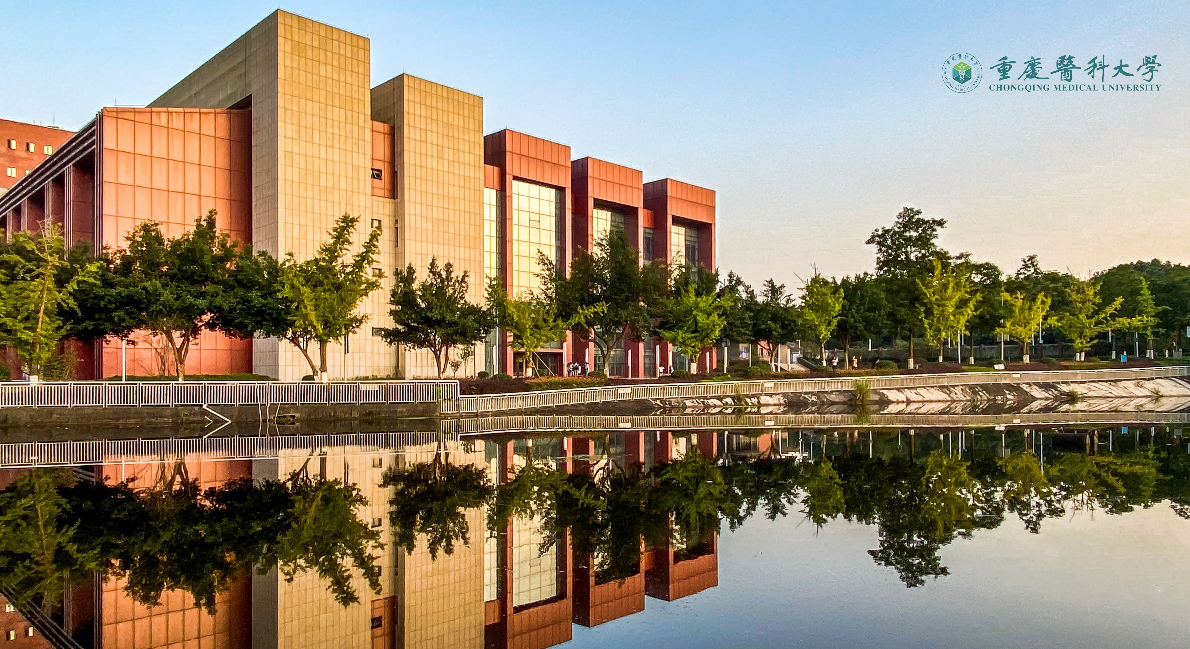 高考分数公布后怎么填志愿？重庆10所大学官方渠道，在线就能咨询