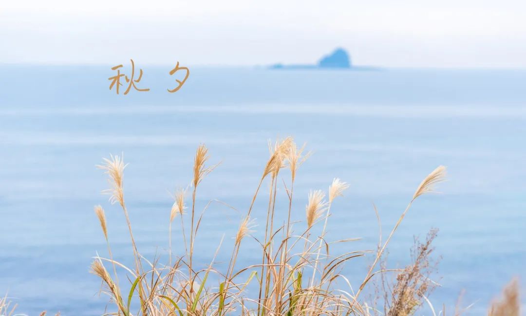 12个“惊艳千年”的浪漫诗句，值得一生一世的收藏-第2张图片-非凡网