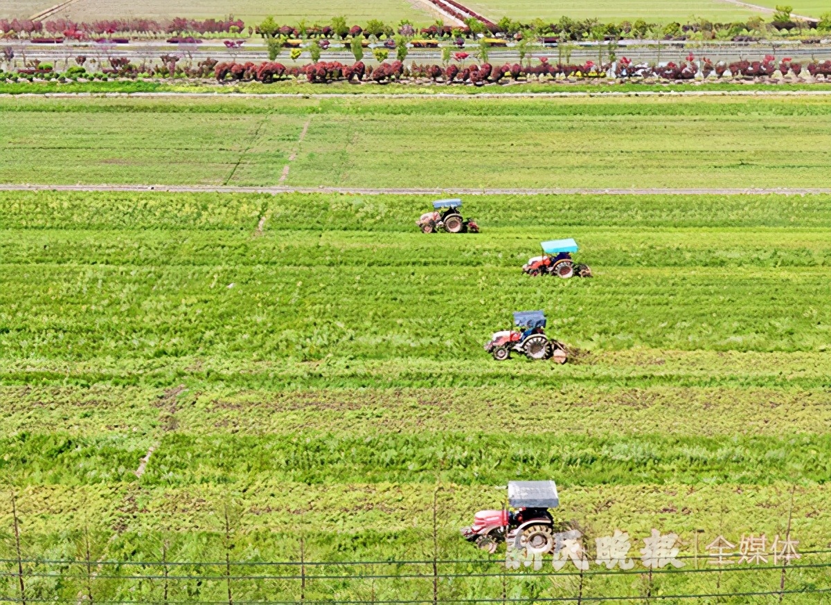 上海松江，万亩粮田春耕正式开启