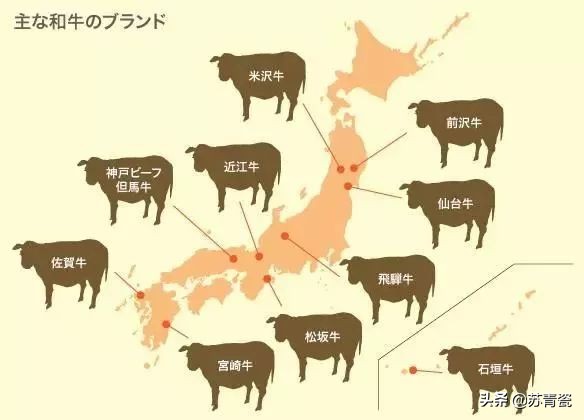 日本和牛为什么那么贵？它真的好吃吗？我体验后告诉你答案