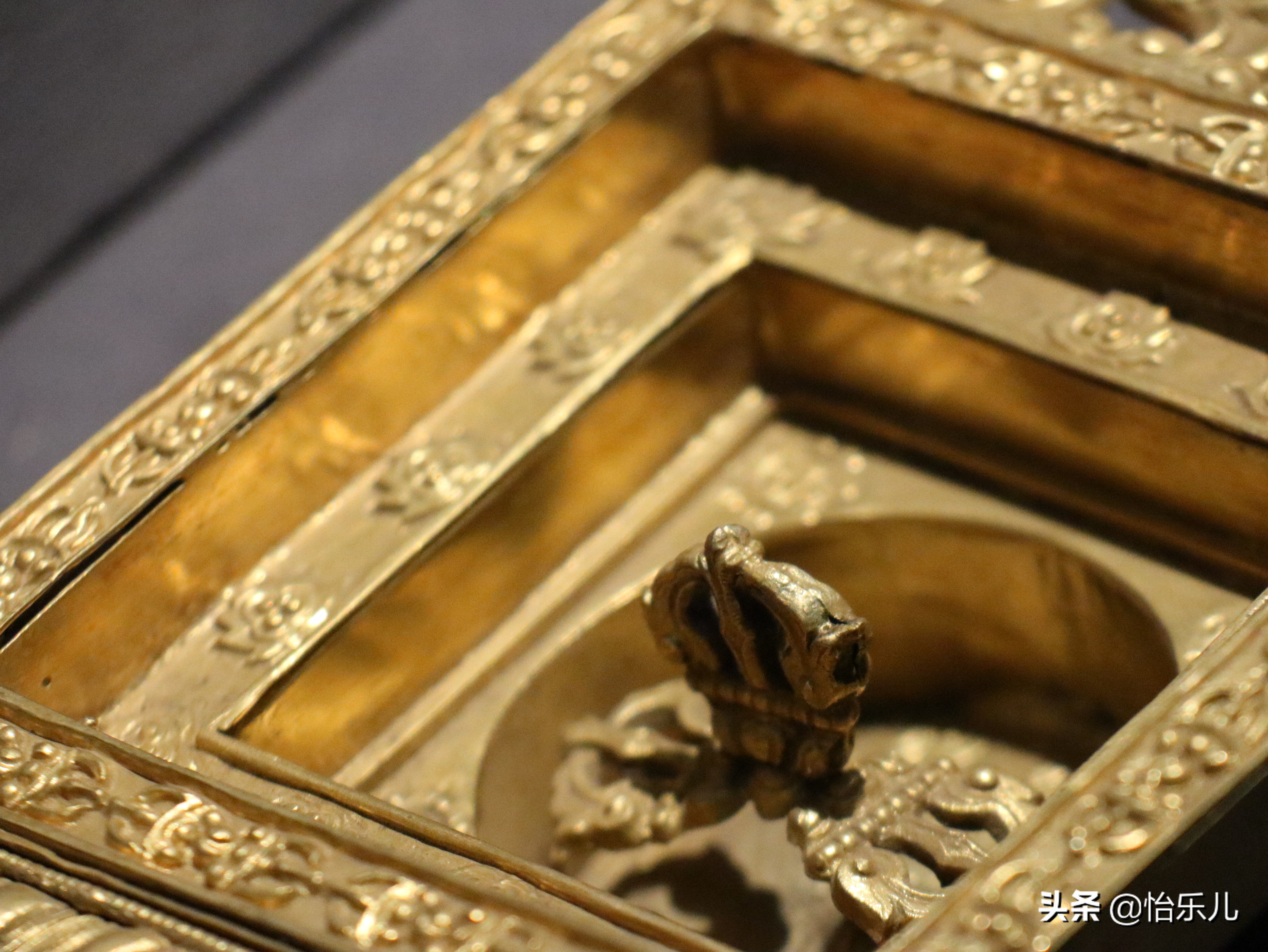 肉莲法器(肉莲法器的图片)-第11张图片