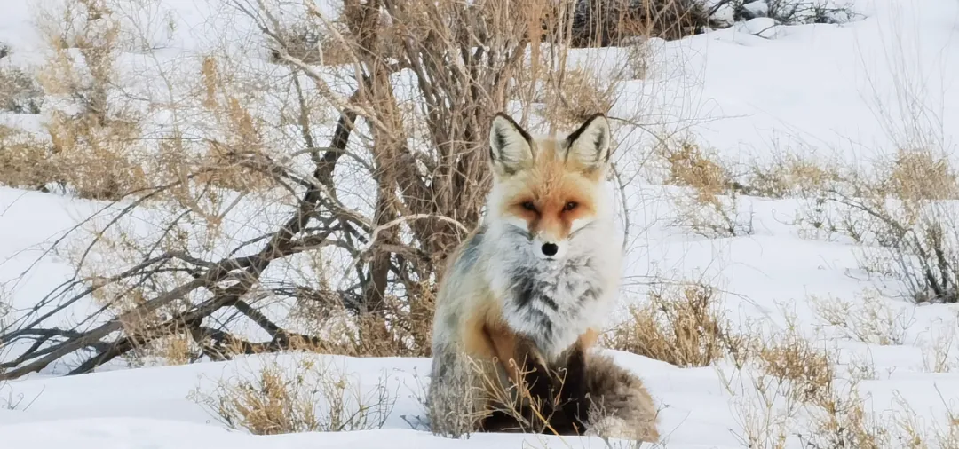 什么是快乐星球（什么是快乐星球？）