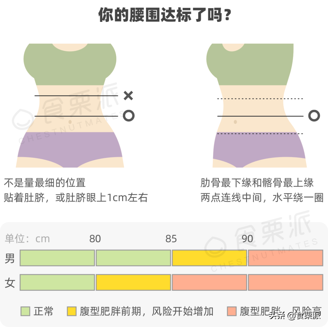 腰围标准(最新腰围标准出炉，快看看你达标了没)