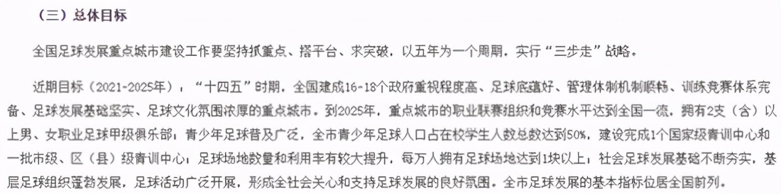 世界杯举办国球队有什么好处(世界杯不能没有中国，国足如能进入正赛，带来的经济效益有多大？)