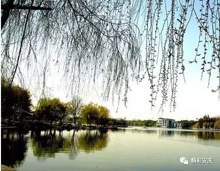 城市记忆丨这组新老照片对比，见证安庆的前世今生！