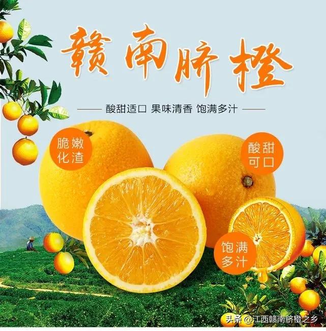 鮮橙汁,鮮橙汁的功效與作用