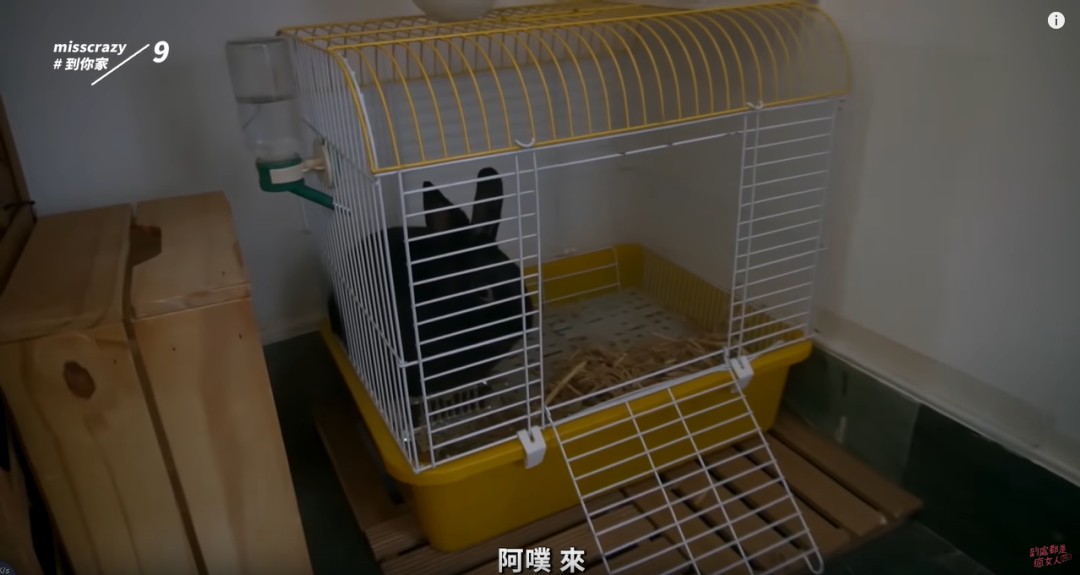独居女生靠“废品”爆改20㎡出租房，空间运用到极致，温馨又实用