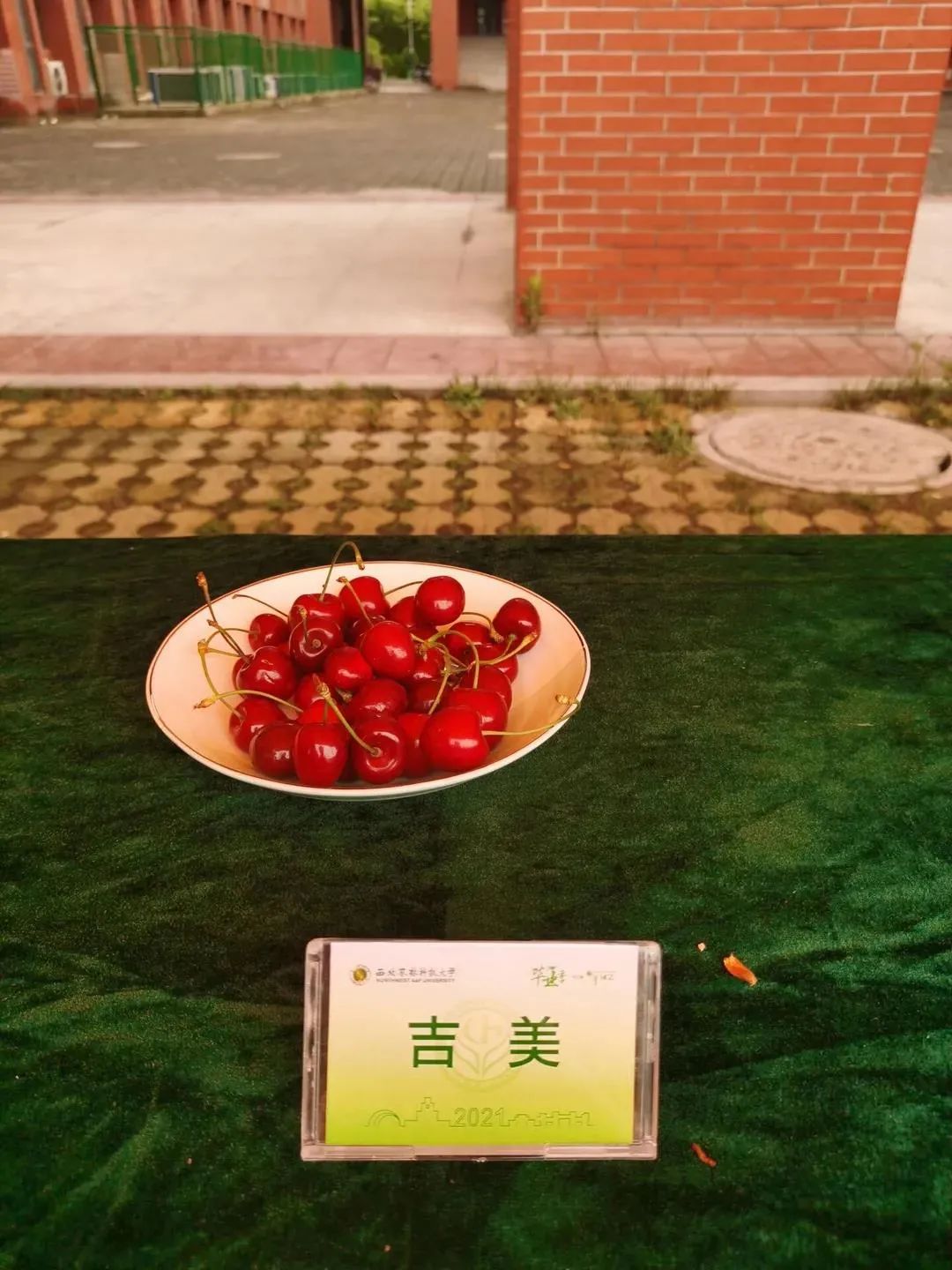 “西北不愁吃喝大学”，又来了