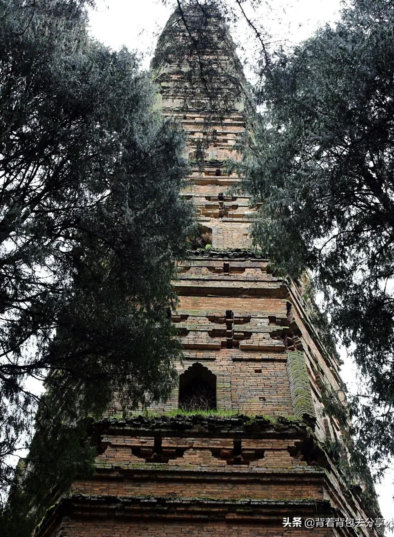 浙江旅游风景区(浙江省十大著名景点，四家景区免费开放，无需购票，你又去过几处)