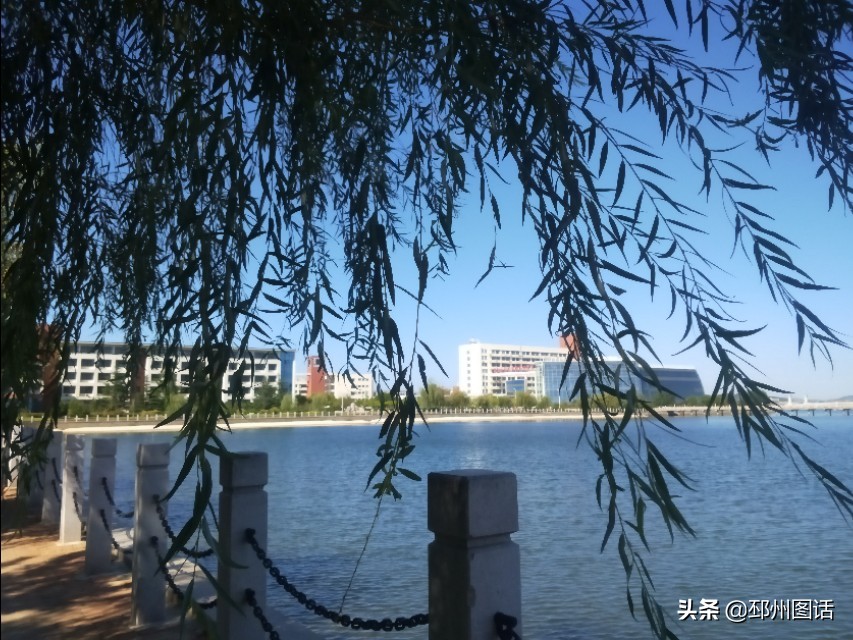 美丽的校园，威海职业学院
