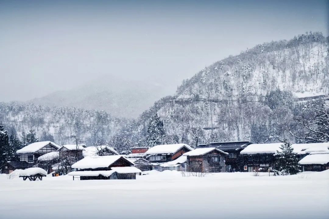 《唐诗三百首》里最经典的三首冬雪诗，唯美而温暖，治愈整个冬天