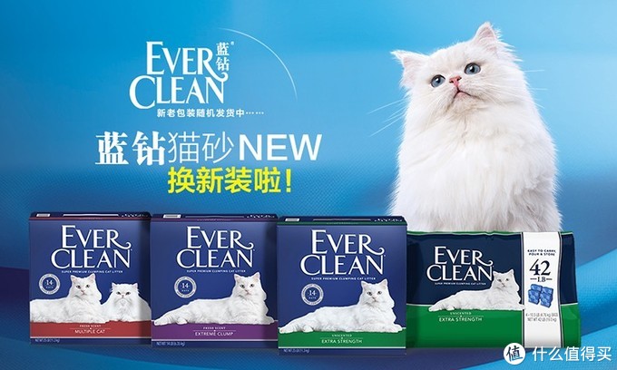 新手养猫指南——养猫一年我花了多少钱？看完我震惊了