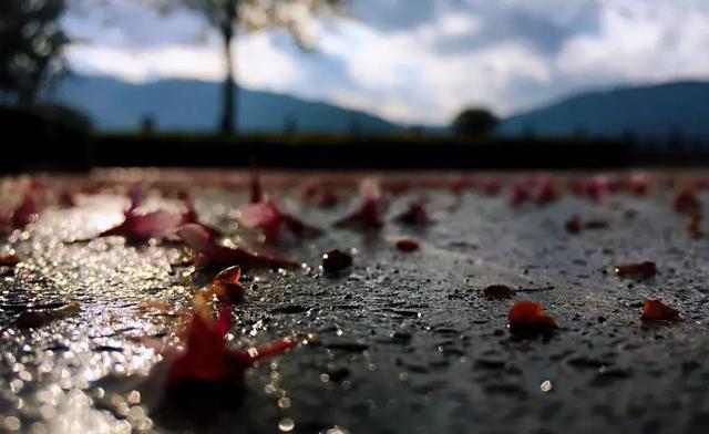 少年听雨歌楼上，红烛昏罗帐壮年听雨客舟中，江阔云低断雁叫西风