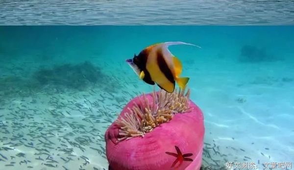 8个简短励志有哲理小故事