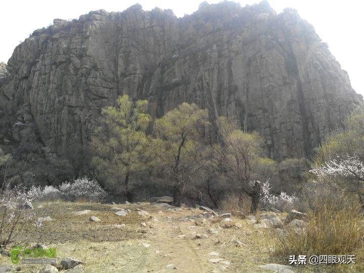 冷眼看西游：水帘洞只是一个人工布景，花果山内部的潜伏者是谁？